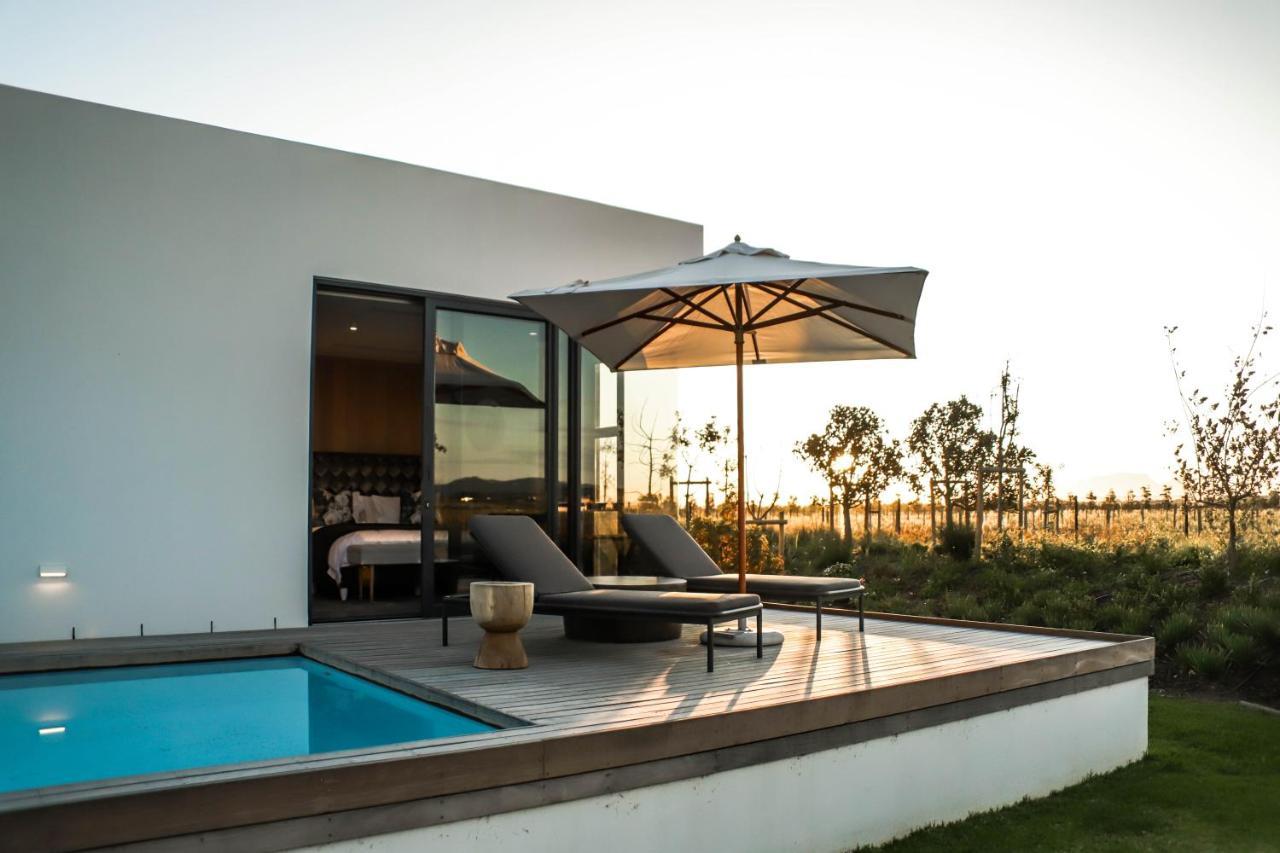 Vergenoegd Loew Boutique Hotel & Spa Città del Capo Esterno foto